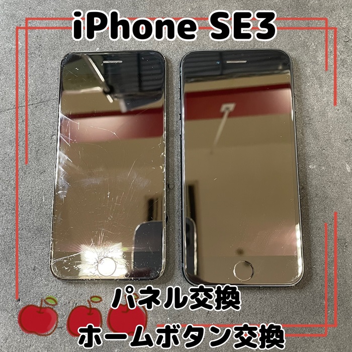 iphoneSE3-20241218.jpg